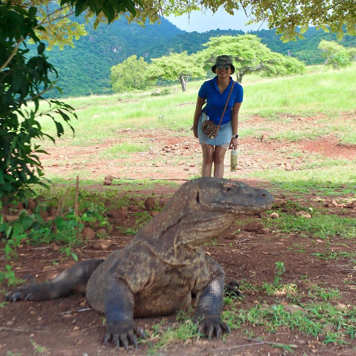 Sehari Privat: Komodo Rinca, Tari Animal Pop, Snorkeling Pempeng, Strawberry Rock & Sunset Kalong