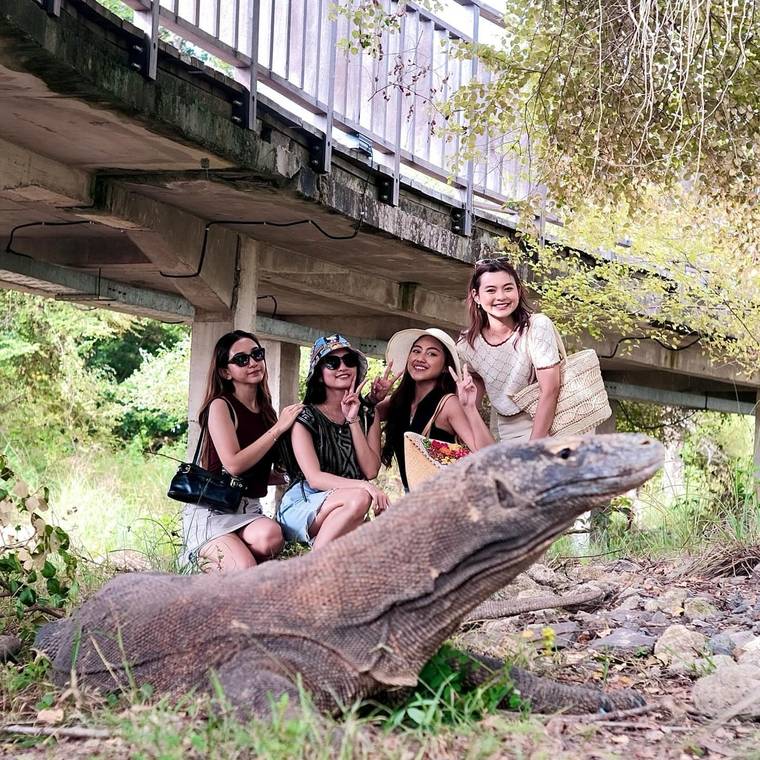 Sehari Privat: Pengalaman Kampung Komodo — Lokakarya Patung Komodo, Trekking & Makan Siang Kampung