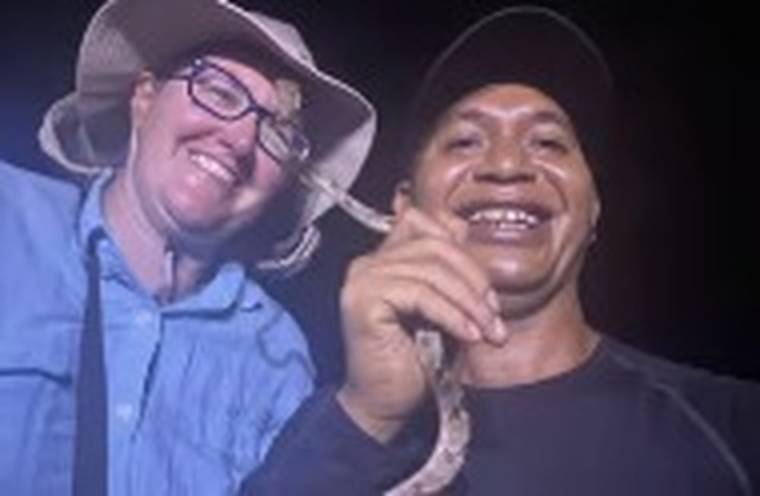 Tur Herping Malam Labuan Bajo Bersama Pemandu — Viper Pit Kuning & Satwa Malam